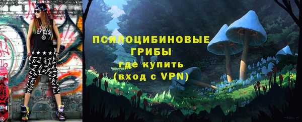 a pvp Абинск