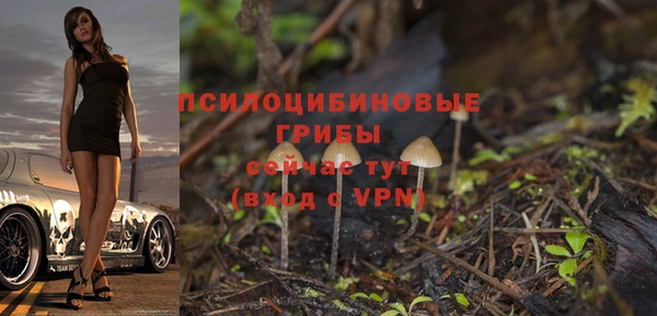 a pvp Абинск
