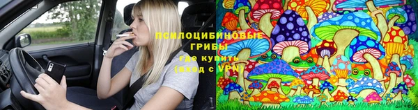 a pvp Абинск