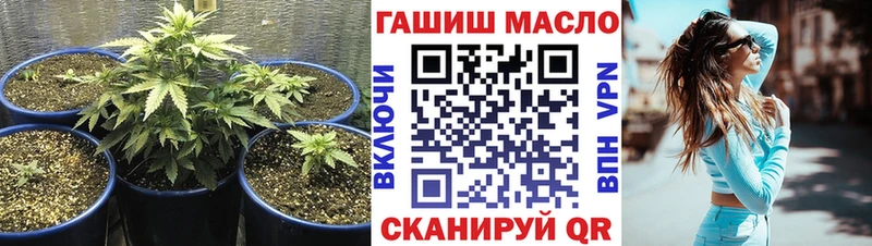 ТГК Wax  Анадырь 